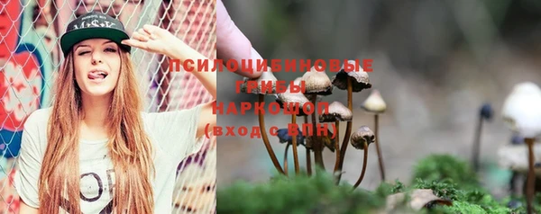 гидра Гусиноозёрск