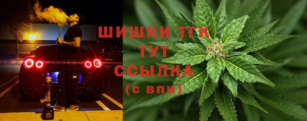 Альфа ПВП Гусев
