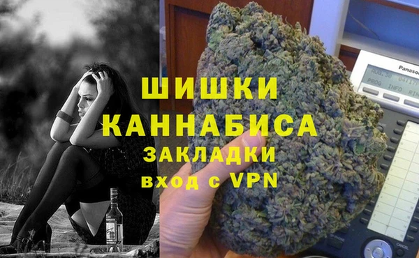 Альфа ПВП Гусев
