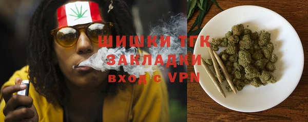 Альфа ПВП Гусев