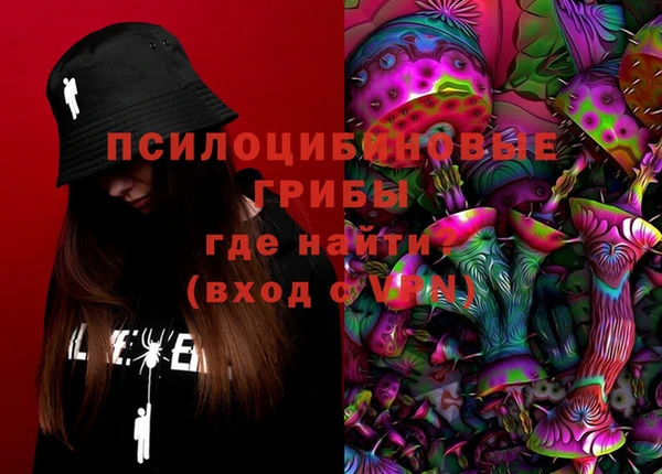 гидра Гусиноозёрск