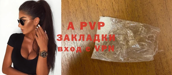 Альфа ПВП Гусев