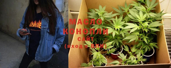 гидра Гусиноозёрск