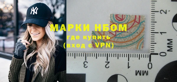 гидра Гусиноозёрск