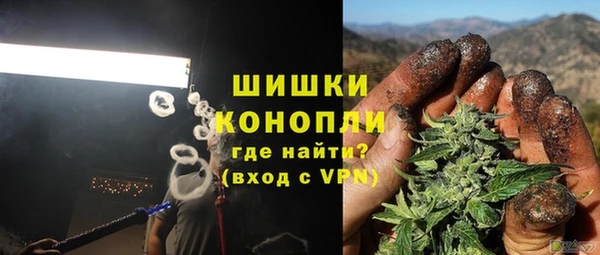 гидра Гусиноозёрск
