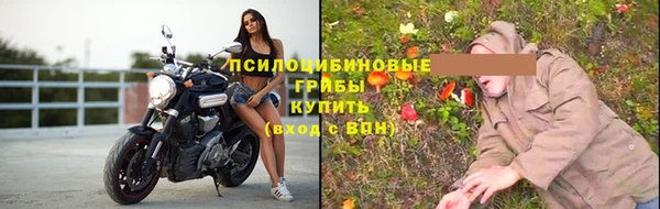 Альфа ПВП Гусев