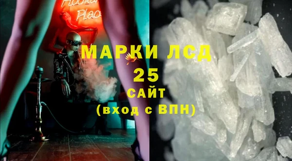 гидра Гусиноозёрск