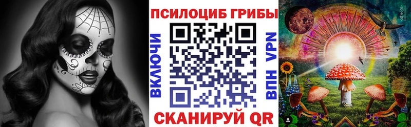 Псилоцибиновые грибы MAGIC MUSHROOMS  где продают наркотики  Славянск-на-Кубани 