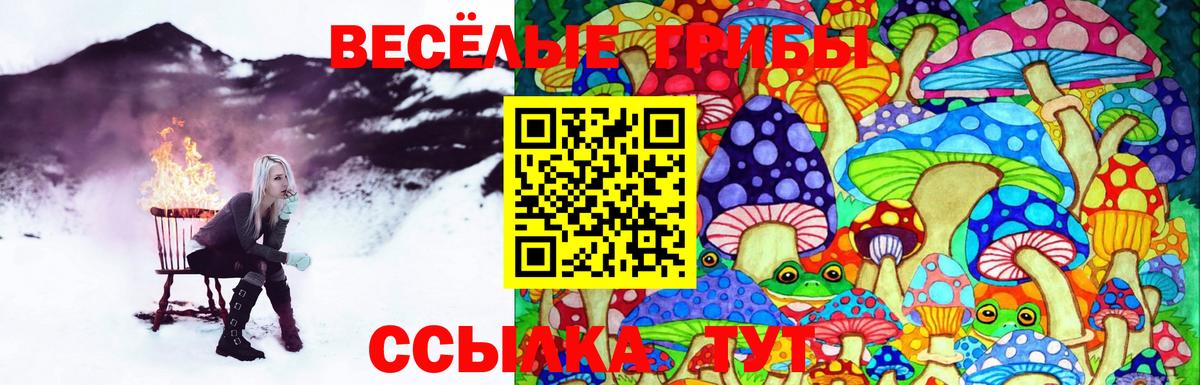 Галлюциногенные грибы Psilocybine cubensis  Славянск-на-Кубани 